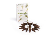 Stamford Cones Classic: Citronella (12 packs x 24 units = 288 packs)