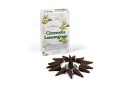 Stamford Cones Classic: Citronella & Lemongrass  (12 packs x 24 units = 288 packs)